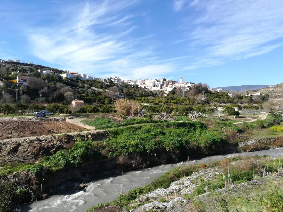 Hostal Y Apartamento Rural Los Naranjos Melegis Exteriör bild
