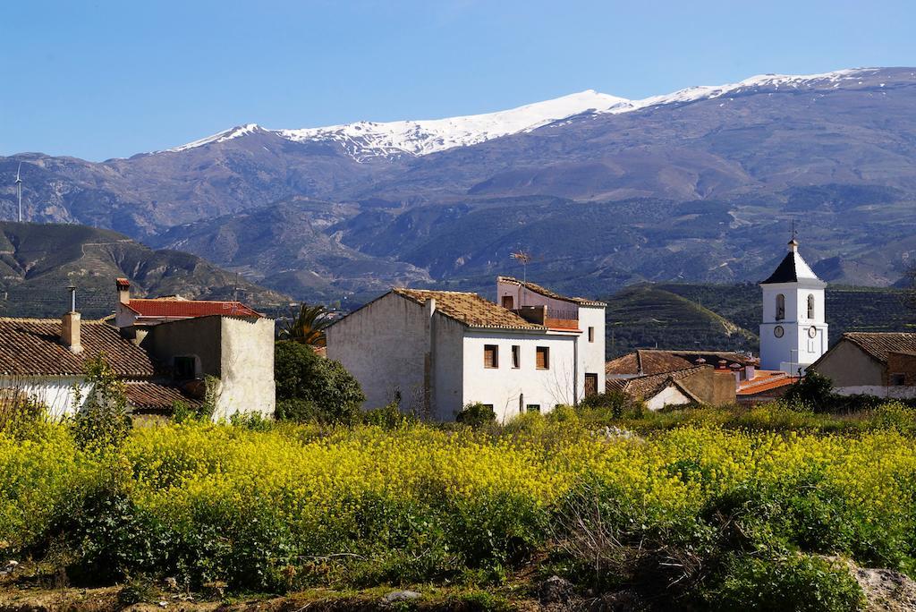 Hostal Y Apartamento Rural Los Naranjos Melegis Exteriör bild
