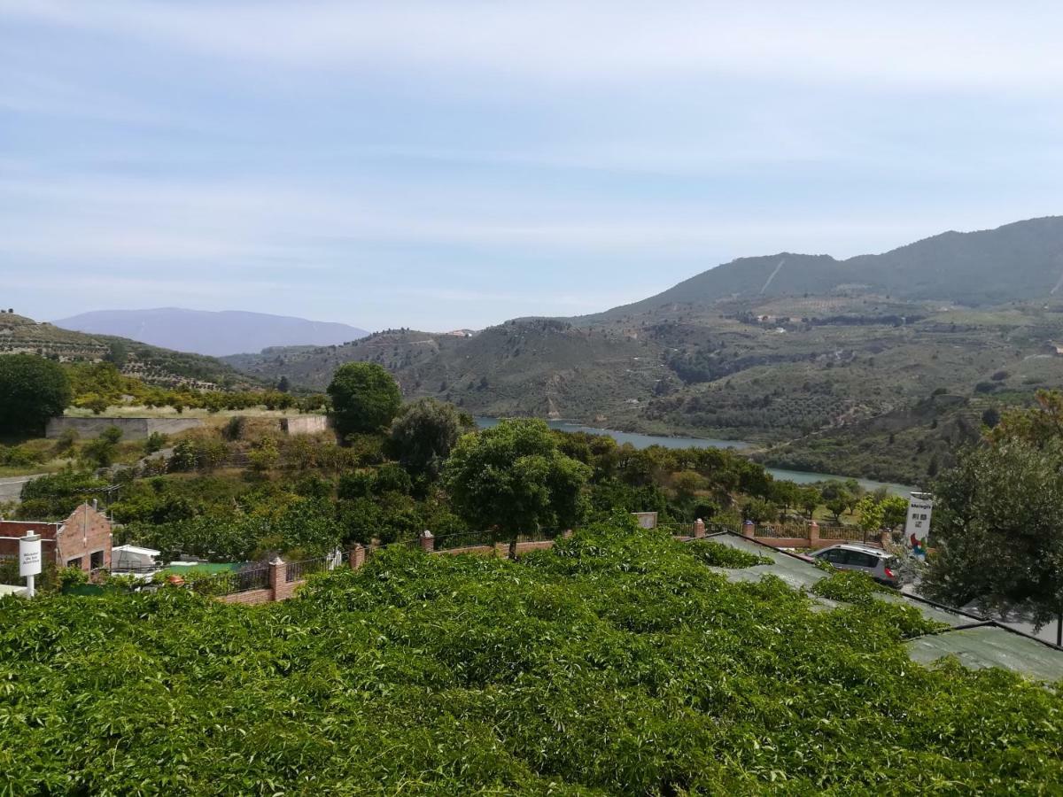 Hostal Y Apartamento Rural Los Naranjos Melegis Exteriör bild