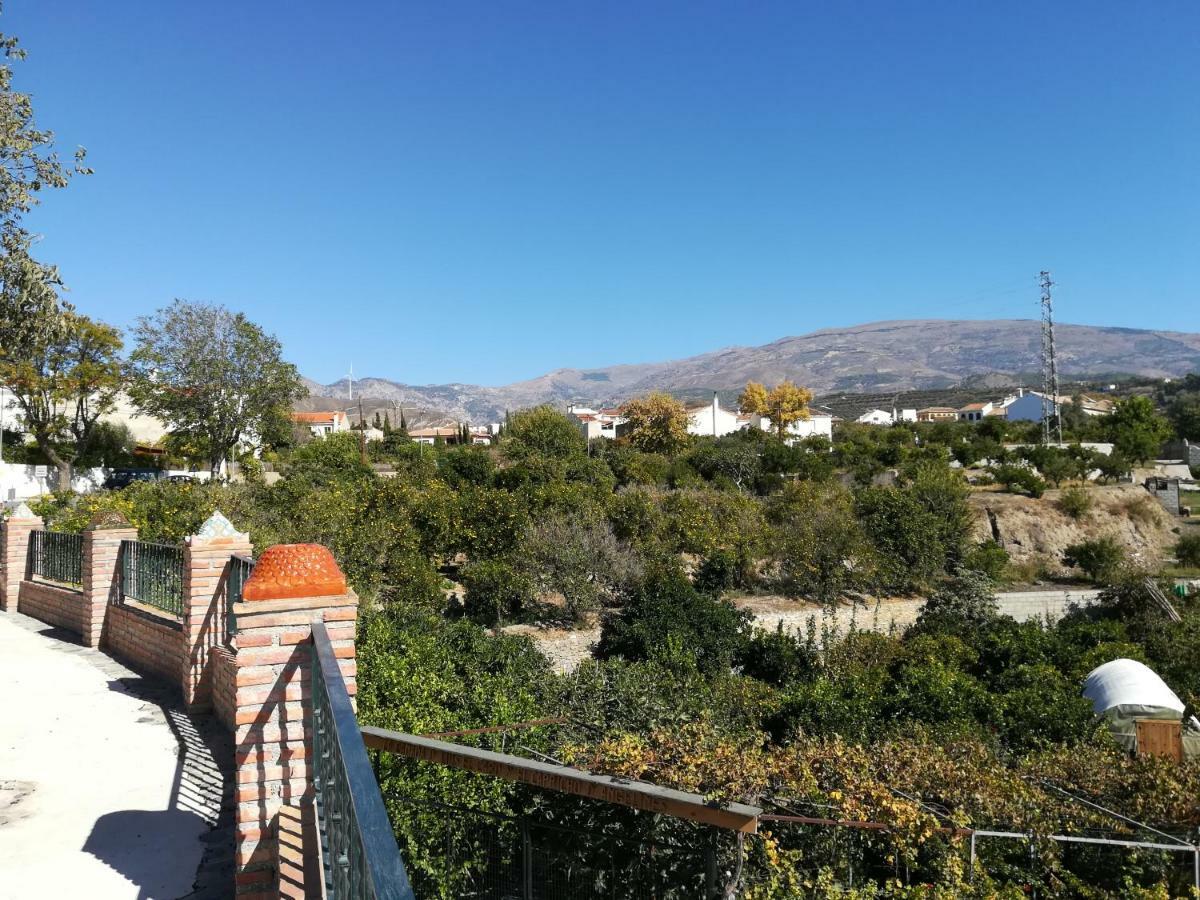Hostal Y Apartamento Rural Los Naranjos Melegis Exteriör bild
